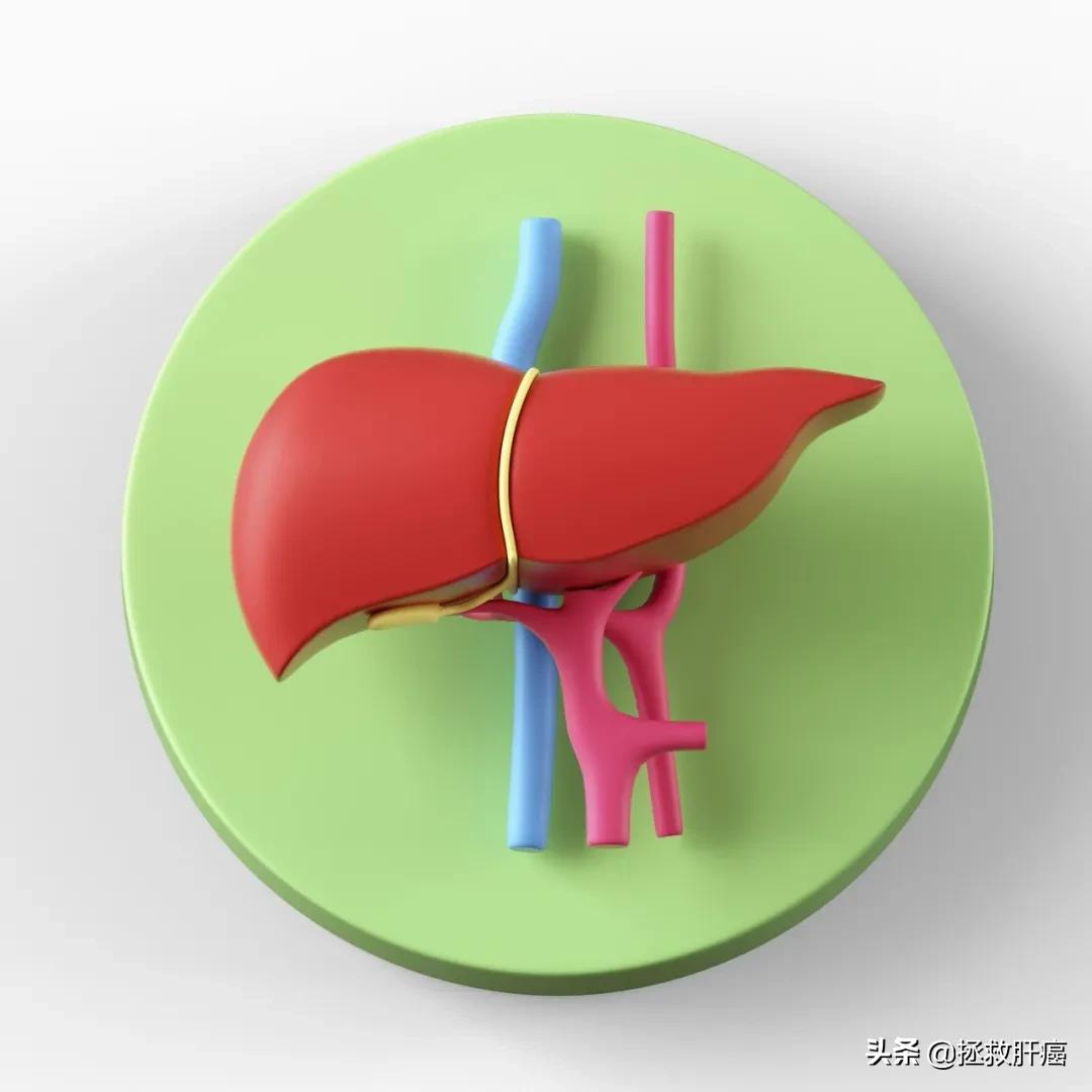 肝癌脑转移放疗后生存期,哪种类型的肝癌寿命可以活二十年