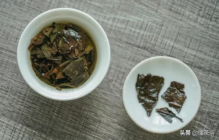 白茶为什么越老越好,白茶为啥时间久了会碎