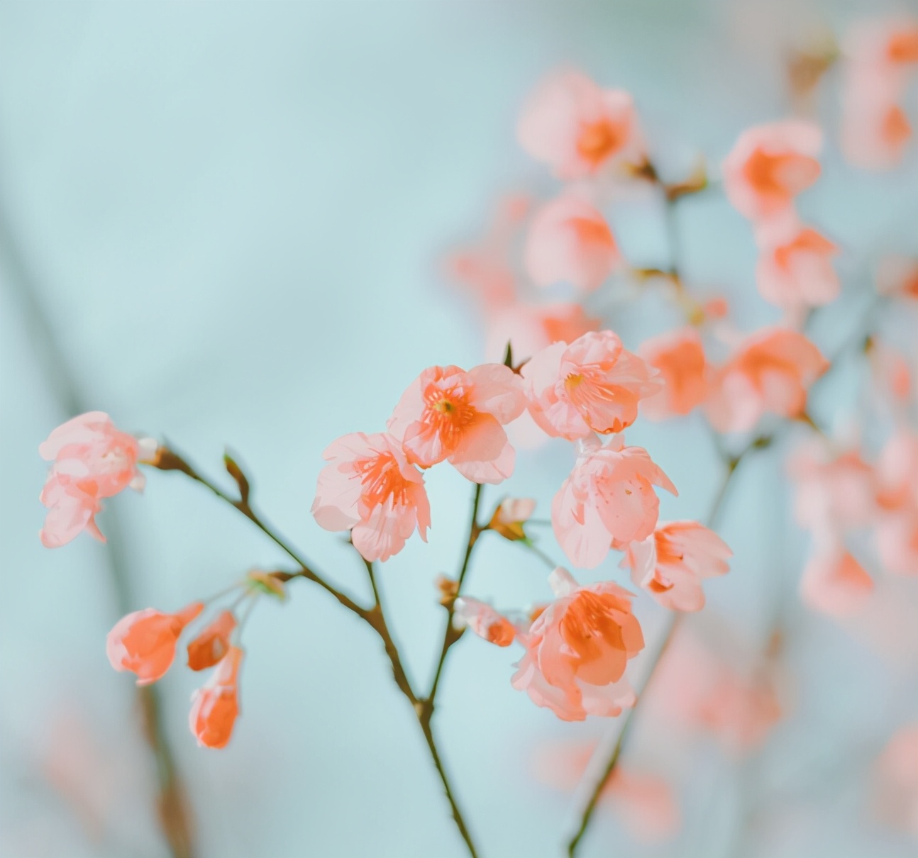 想不动声色地吸引异性,如何不动声色吸引前任