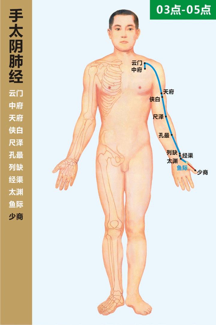 人体12经络365个穴位详解,人体经络365个穴位图详解
