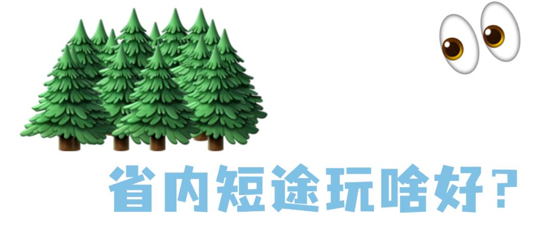 浙江孩子暑假,宁波暑期孩子游玩