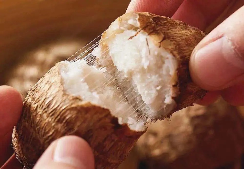 芋头好吃的品种,芋头好吃排行