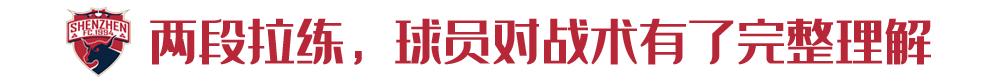 多纳多尼点评王永珀,多纳多尼踢球巅峰水平