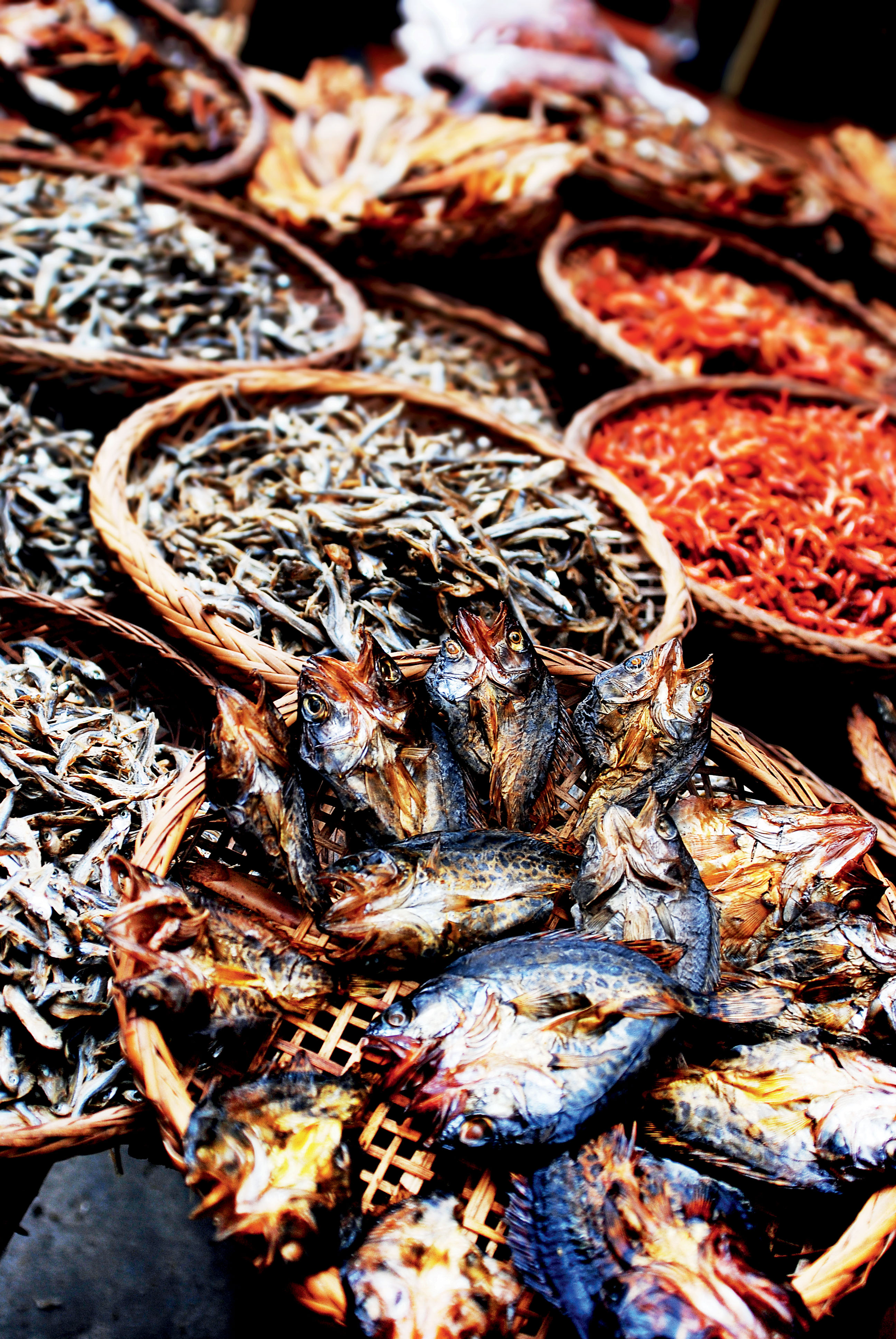 什么蛆可以吃,什么蛆吃腐肉快