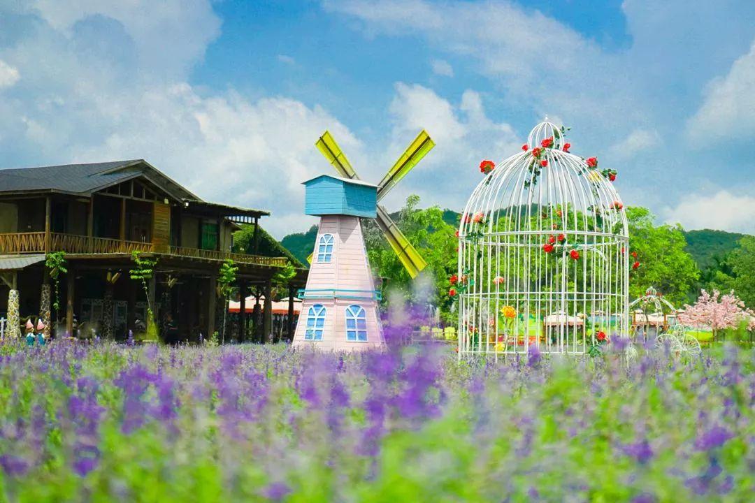 水上乐园超级大喇叭体验,挑战十大世界上最大的水上乐园