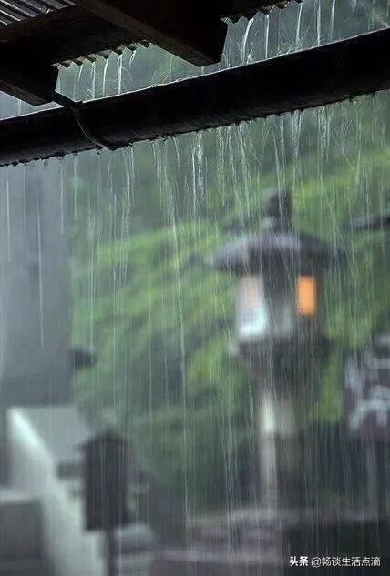 重阳节不下雨有什么说法,立冬重阳节