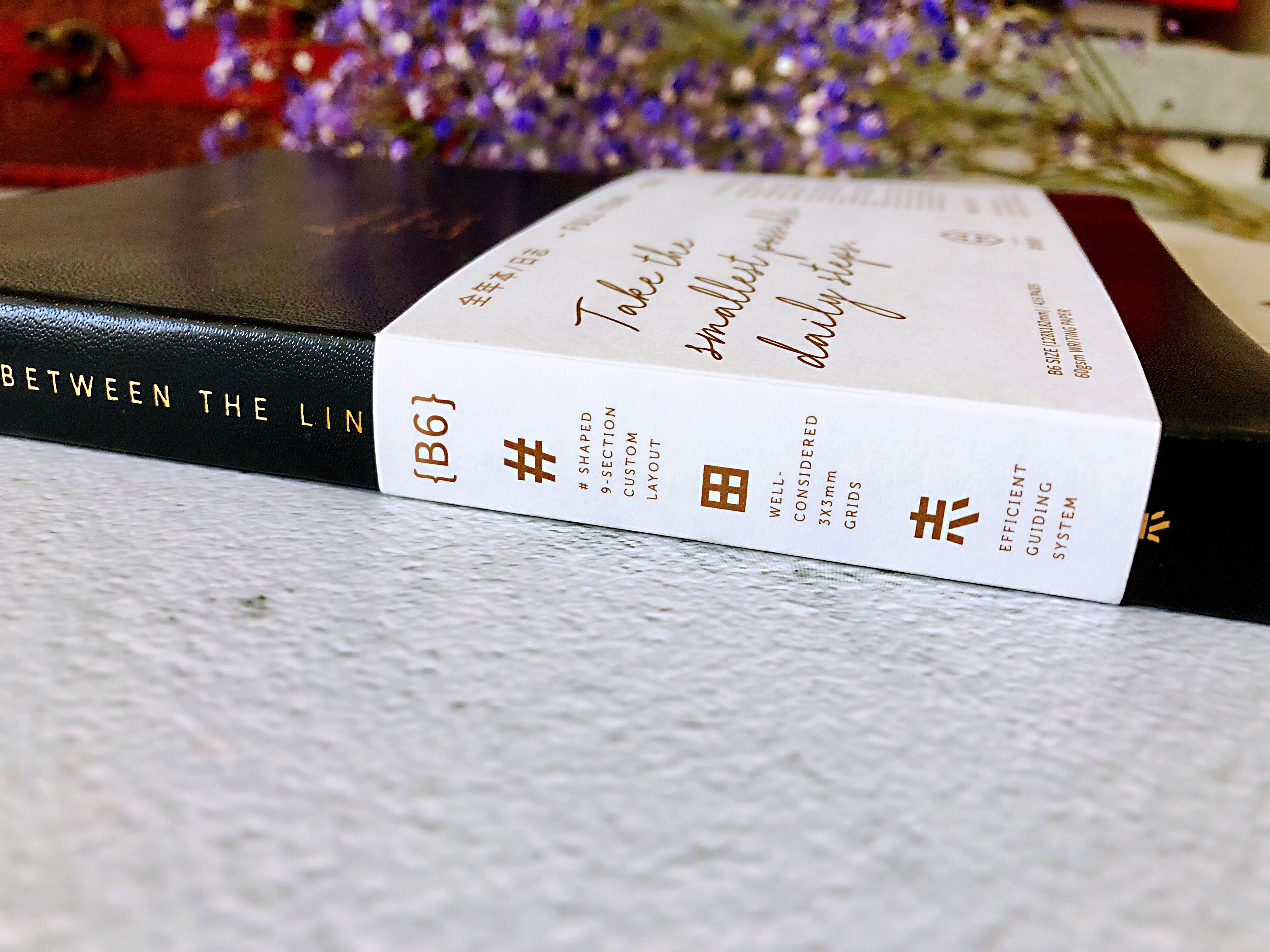 新手应该入手什么样的手帐本,新手入门要选择什么手帐本