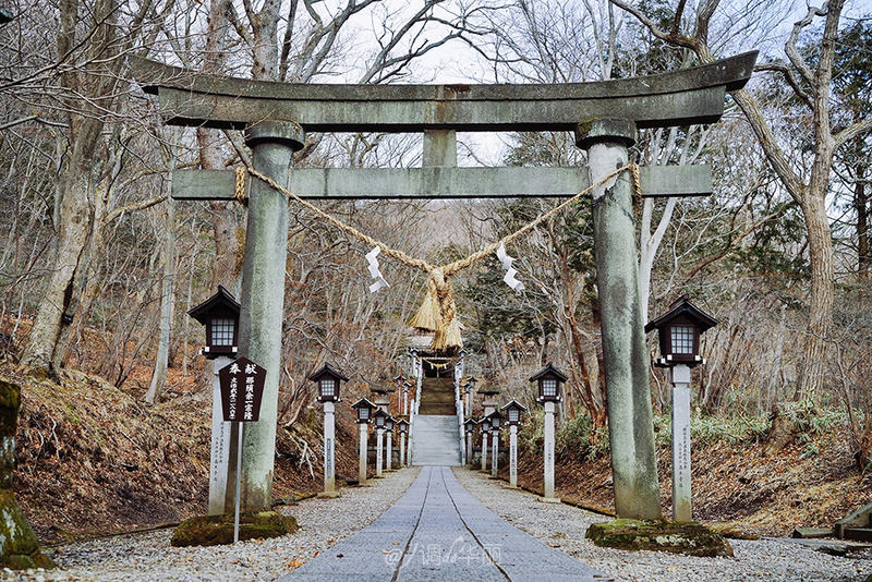 日本东京一日游攻略详细,日本东京五日游最佳路线图