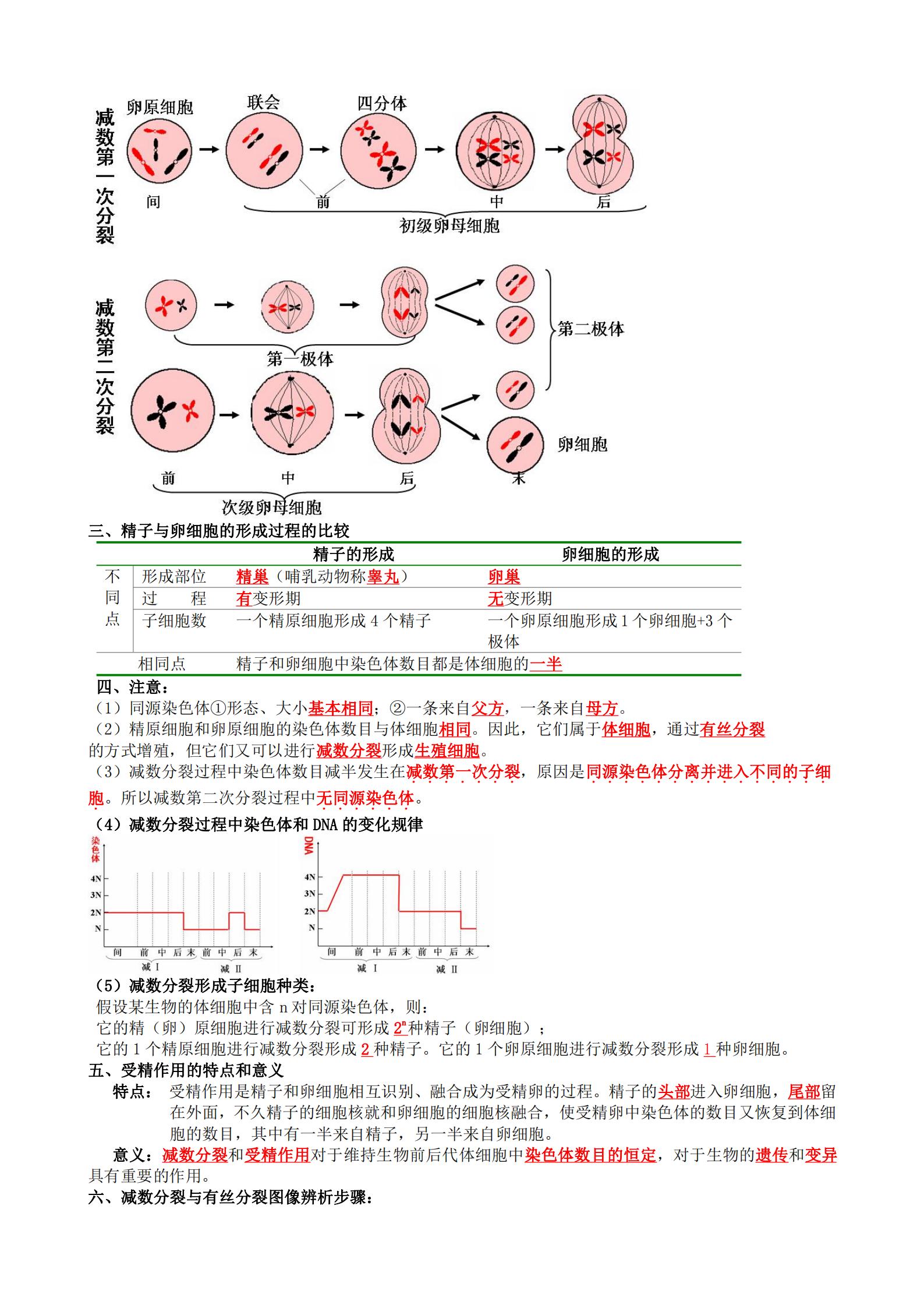 高一生物必修二必背知识点归纳,高中必修二生物知识点大全