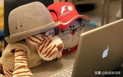 学会这些基本操作成为电脑高手,常用电脑办公操作技巧