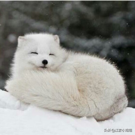 民间灵怪真实故事,民间志怪灵异故事传奇