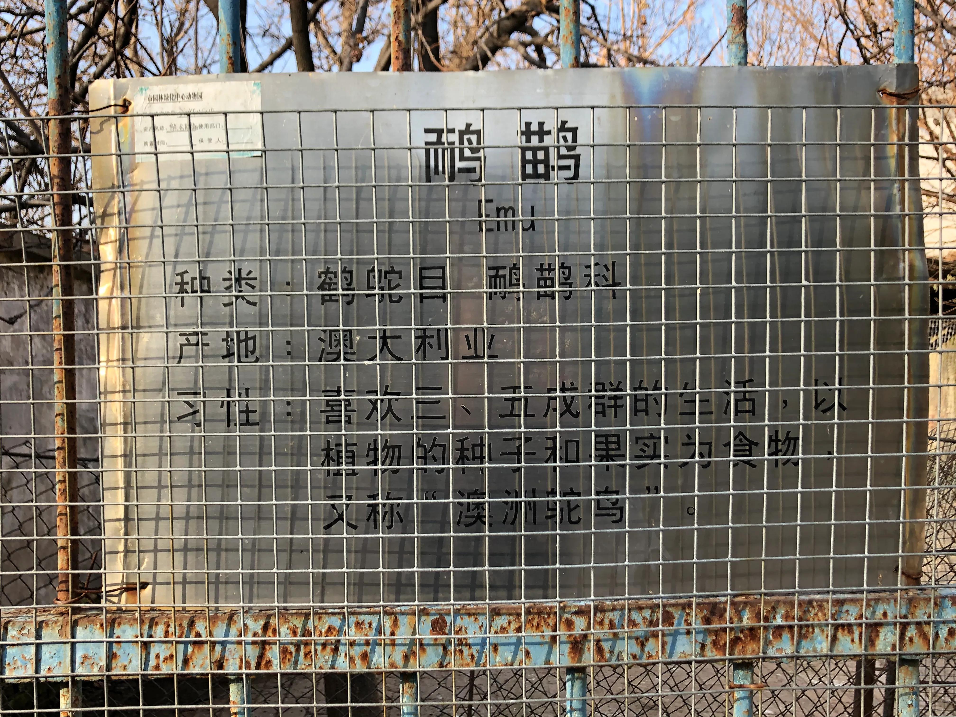 平顶山河滨公园旅游攻略,平顶山森林公园游记