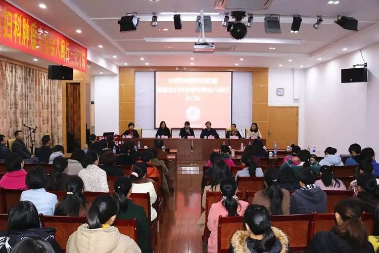 中国抗癌协会临床肿瘤化疗专委会,福建省妇科肿瘤协会