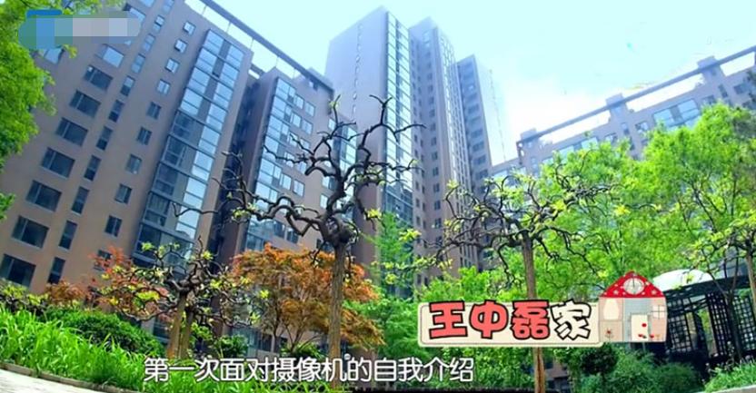 王中磊家装修风格,影视大佬王中磊的现代四合院装修