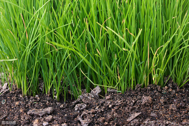 冷门暴利小生意创业,十大冷门赚钱的小生意