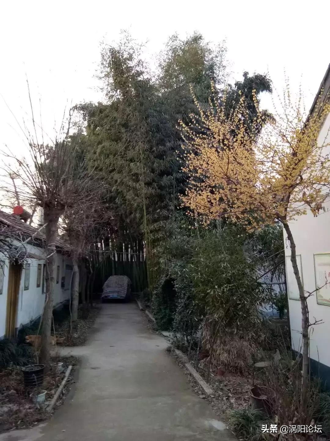 回忆涡阳的历史,值得铭记