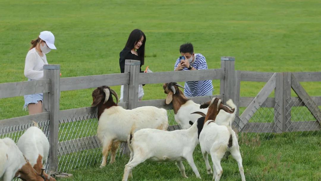 大连60条精品旅游线路,大连旅游一日游线路推荐