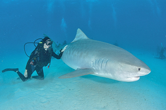 青岛三日游最佳攻略时间,青岛三日游攻略大全最新