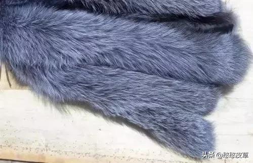真假皮草区别是什么如何辨认,貂毛皮草真假怎么辨别