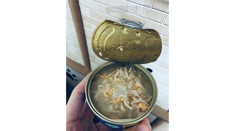 猫咪的主食罐推荐,k9猫咪主食罐头测评