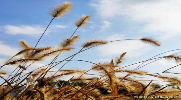如何预防或减少药物副作用,免疫治疗药物副作用