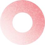 手机ip手动分配填写方法,手机上的IP分配是啥