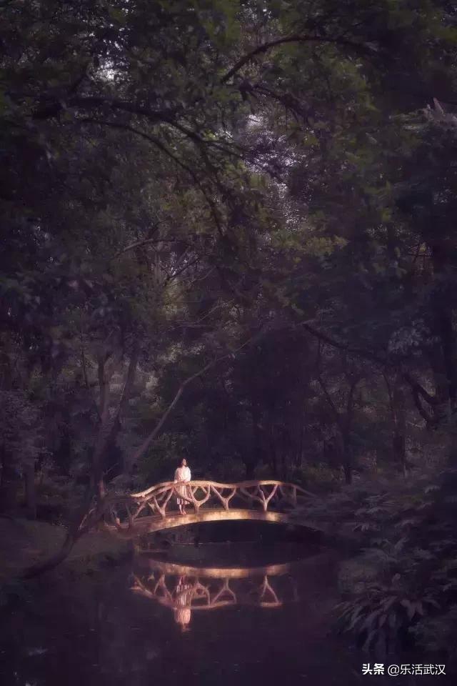 原来武汉有这么多好玩的打卡地,武汉周边新晋7大网红打卡地