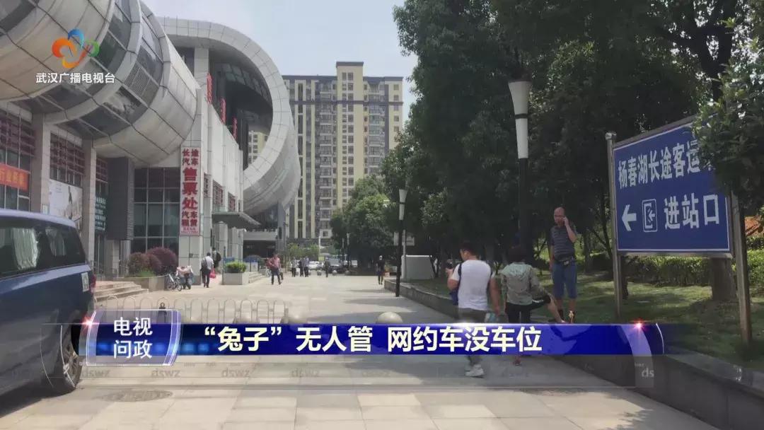 武汉电视问政最新,武汉电视问政2019评论员点评