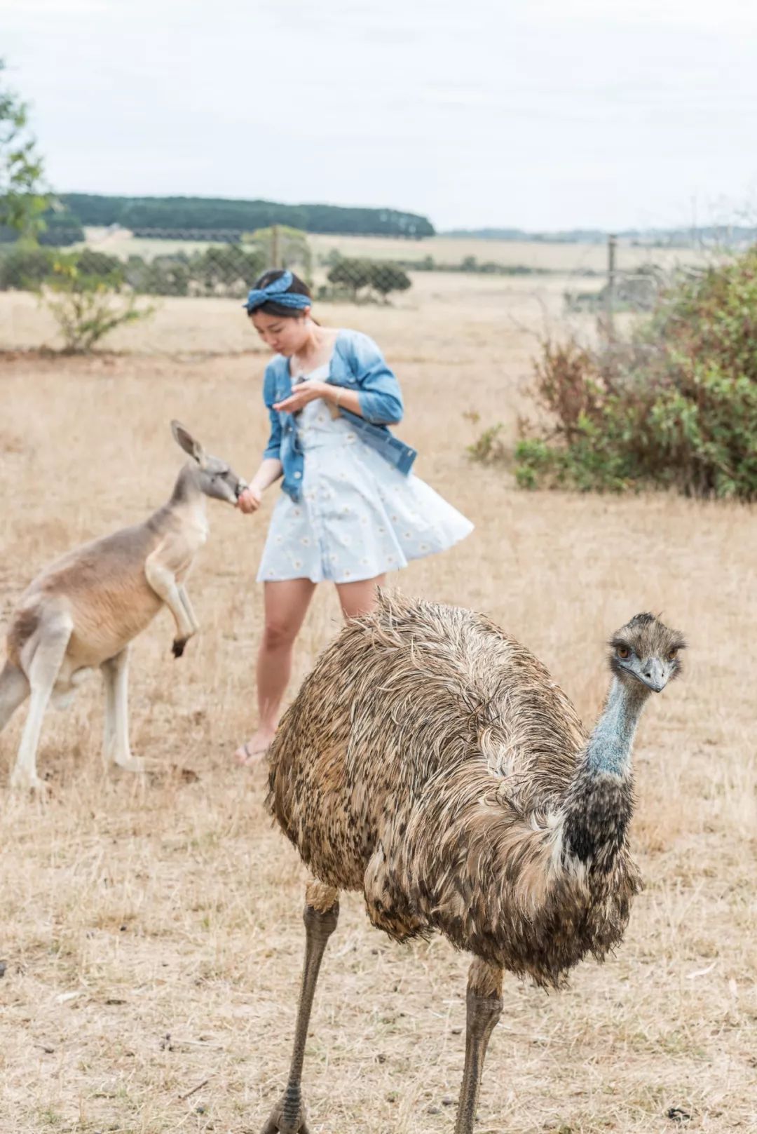 澳大利亚独特的自然风光,澳大利亚黄金海岸的美景