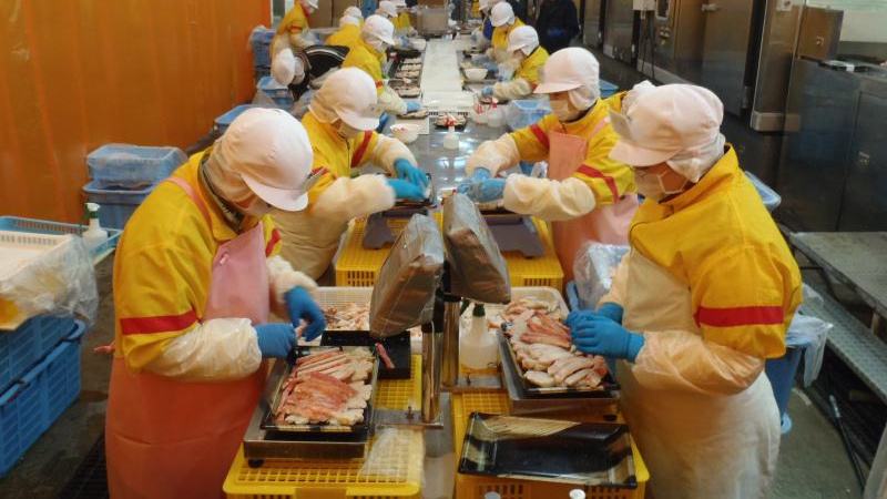 新加坡和日本打工哪个工资高,去日本工作工资待遇好不好