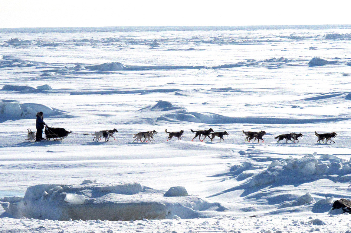 加拿大夫妇变卖家产后续,加拿大夫妇逃到北极圈避疫