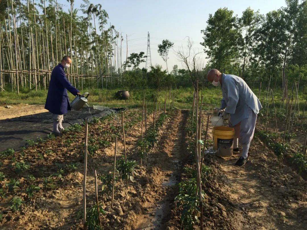 抢抓农时开展农业生产,农民纷纷抢抓春耕生产有利时机