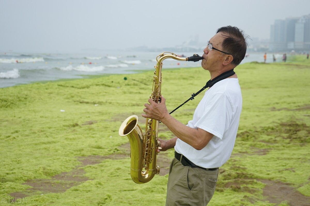 昨天的故事系列《芳草地》