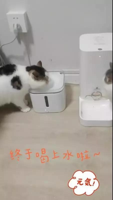 美团饿了么叮咚,叮咚已停止运行