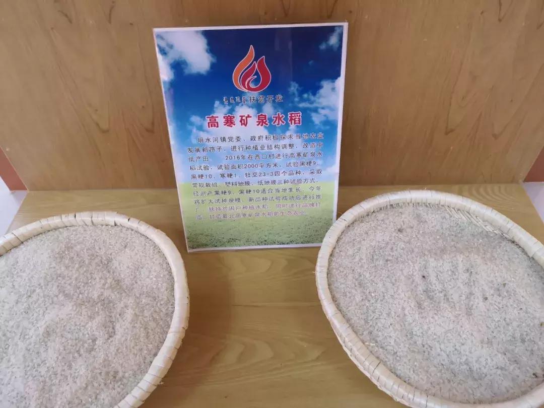 北纬47°的农业,北纬47度有机大米