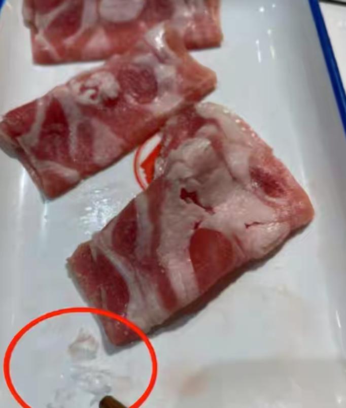 明星都爱玩的冒险游戏,明星都爱玩哪些游戏