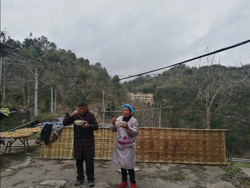 四明山哪里有山黄精,上方山三宝之一黄精