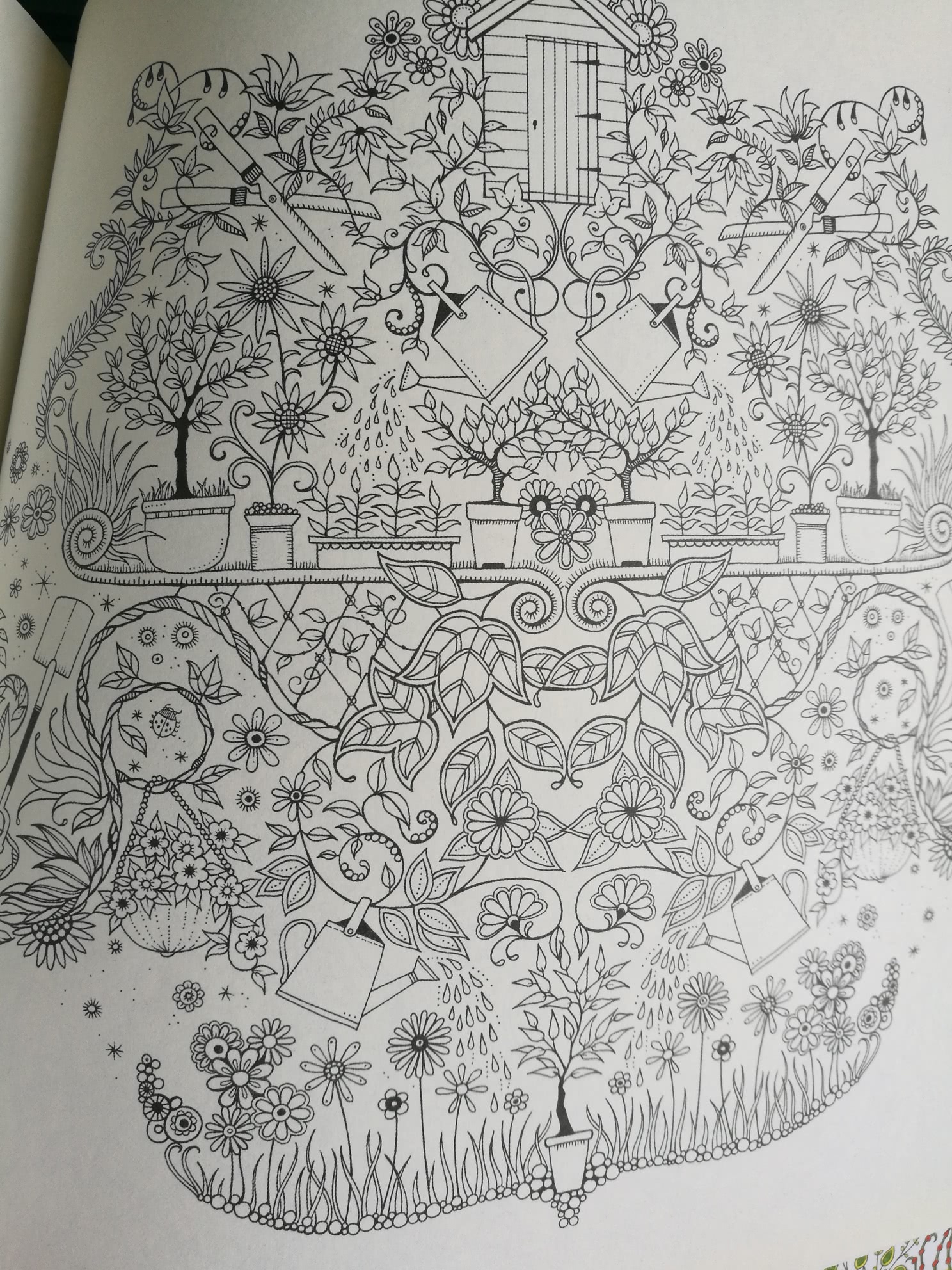 秘密花园绘画本全部涂完的图片,秘密花园水彩涂色书