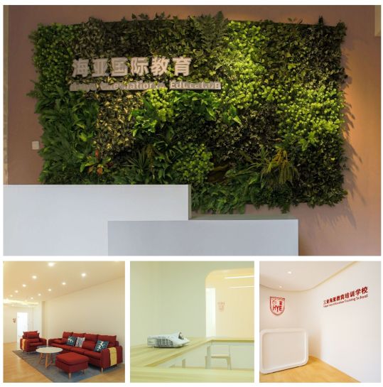 雅思学习海南,雅思学习一定要培训吗