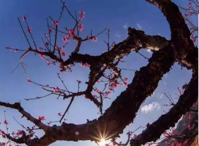 美丽的五华县,五华我可爱的家乡