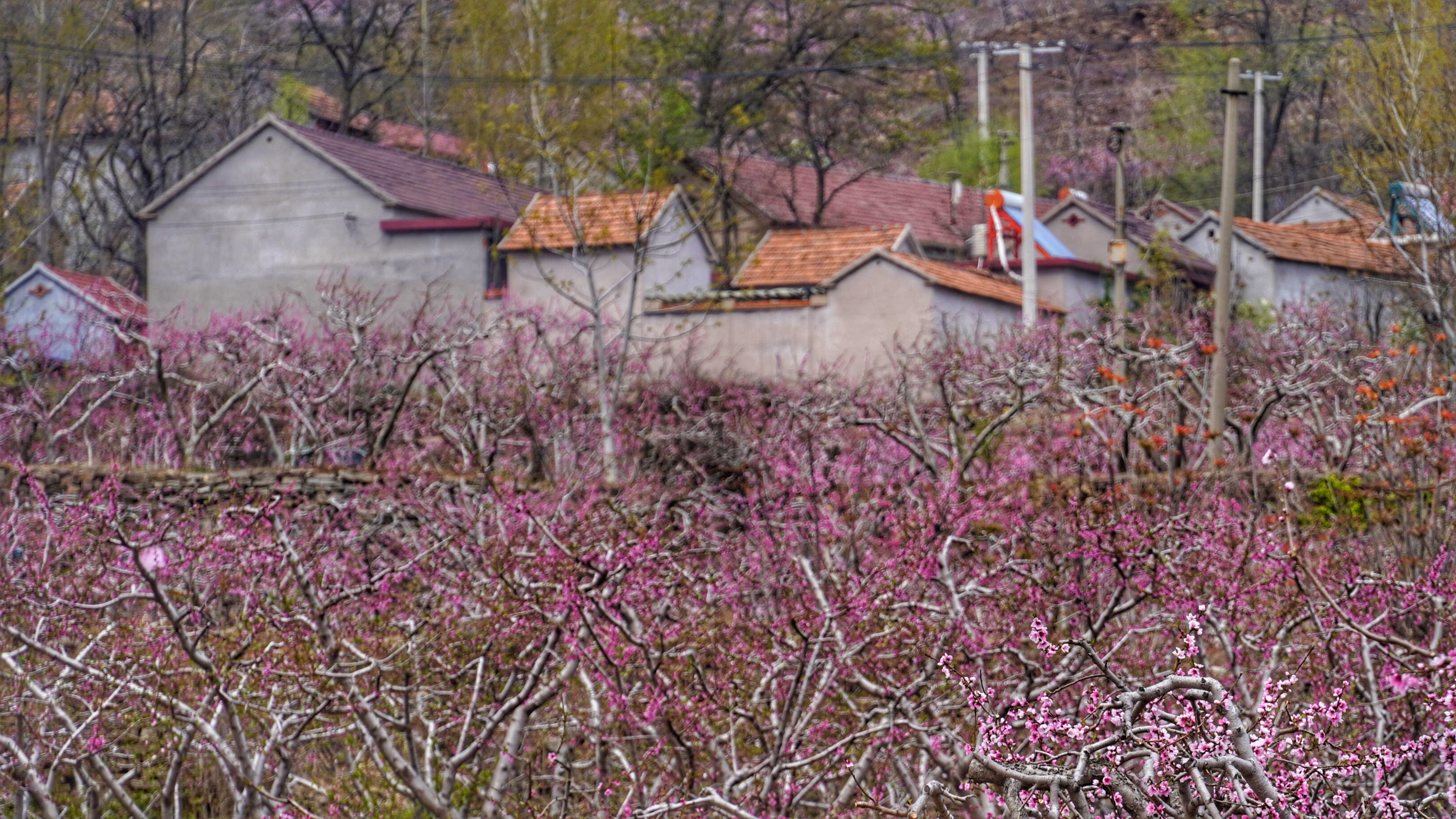 探访沂蒙山,蒙阴县岱崮镇岱崮地貌景区