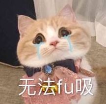 为什么要时尚必须得平胸,平胸是检验时尚最好的标准