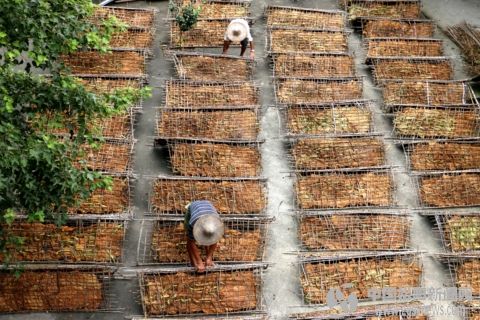 你不了解的*草烟**类型有哪些