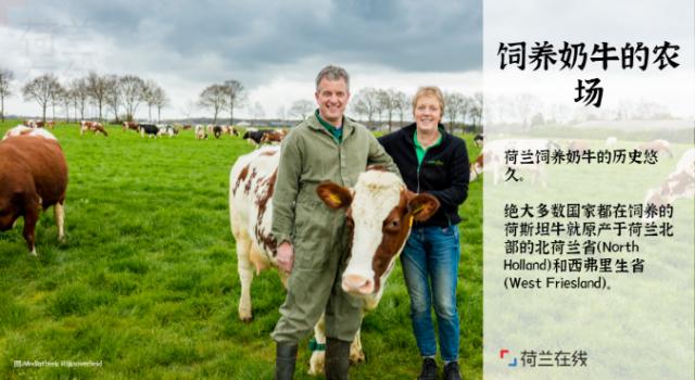 荷兰奶粉管理严吗,荷兰奶粉攻略