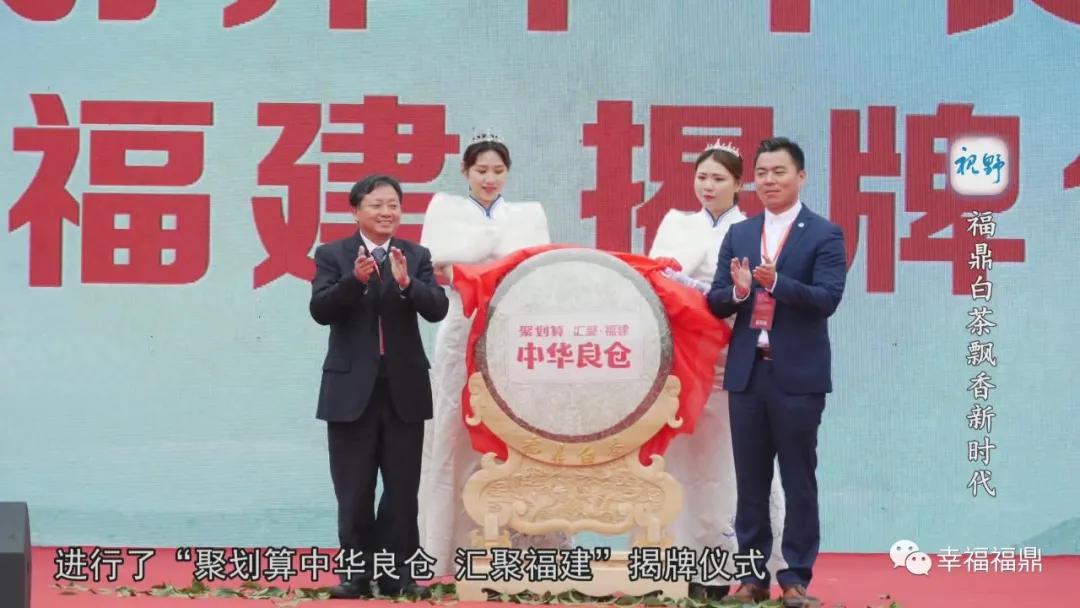 福鼎白茶兴起,白茶步入产业振兴快车道