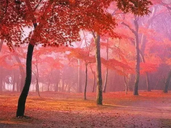 下半年旅行最佳时间表,2023最佳旅游时间表