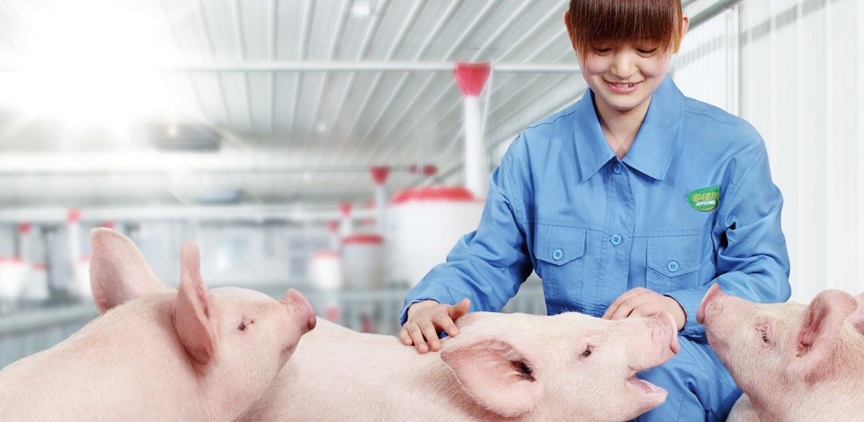 中粮家佳康猪肉礼盒,中粮家佳康亚麻籽猪肉