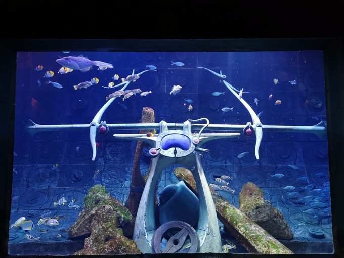 到阿联酋旅行自由行行程,中国到迪拜和埃及旅游攻略路线