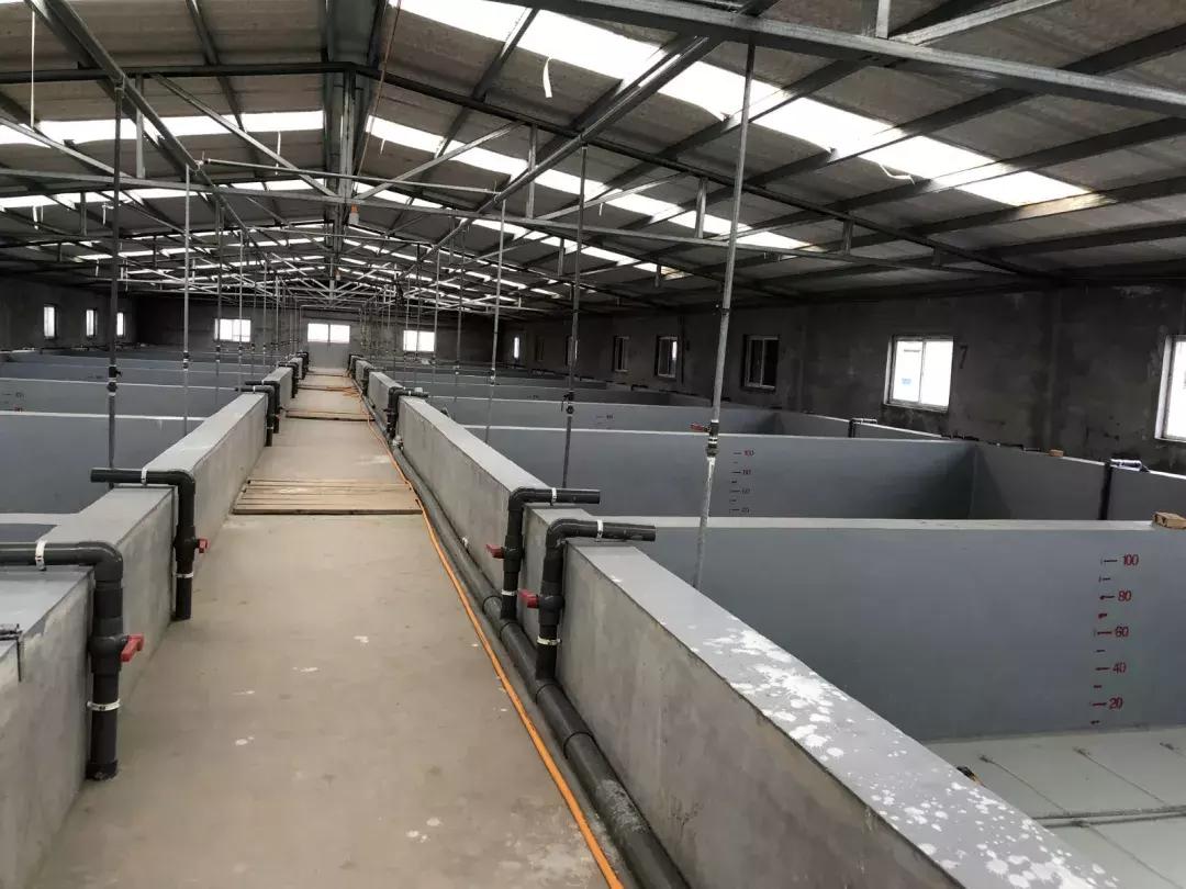 厉害！这个百万养虾大户，被评为全县淡水养殖状元！