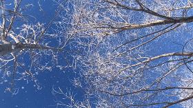 《主播旅行社》开团,9888元双国跨境,一车hold住冬季自驾新玩法